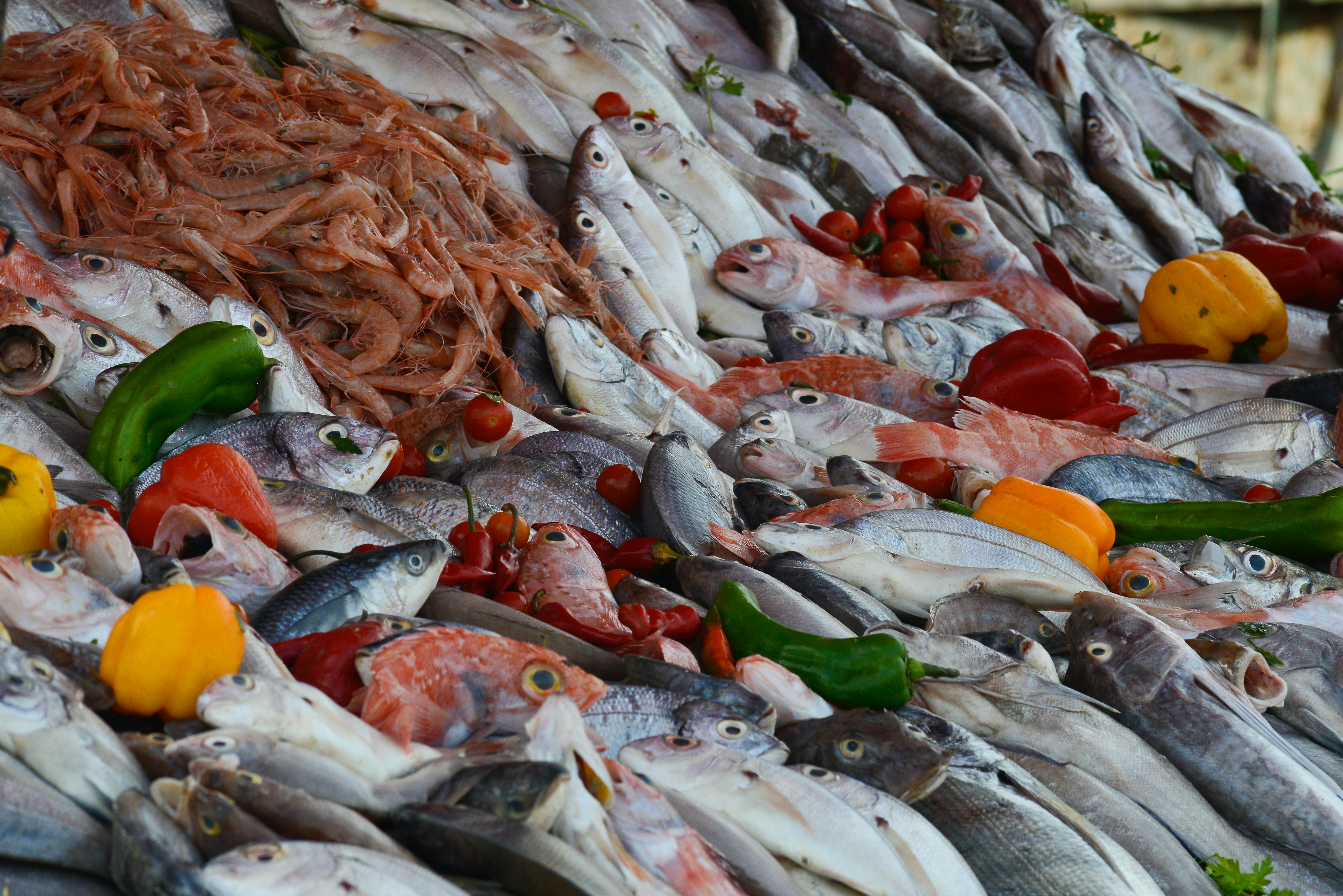Ikan dan Hasil Laut